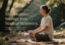 Estratégias De Mindfulness Para Iniciantes